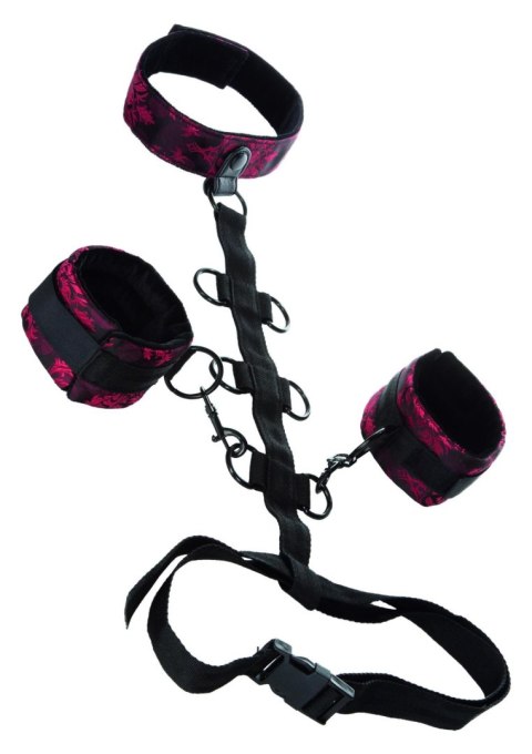 Scandal Collar Body Restraint Black Calexotics Scandal Collar Body Restraint Black Calexotics