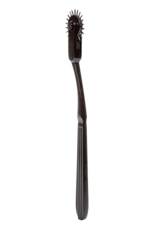 Scandal Pleasure Wheel Black Calexotics