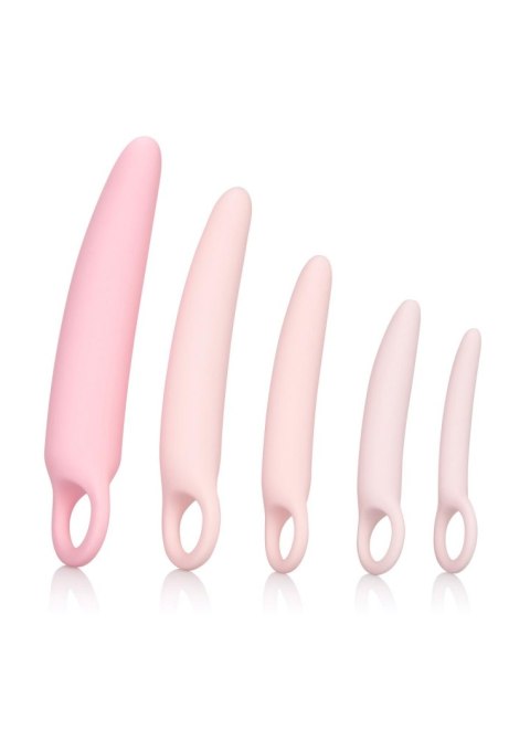 Silicone Dilator 5pcs Set Pink Calexotics Silicone Dilator 5pcs Set Pink Calexotics