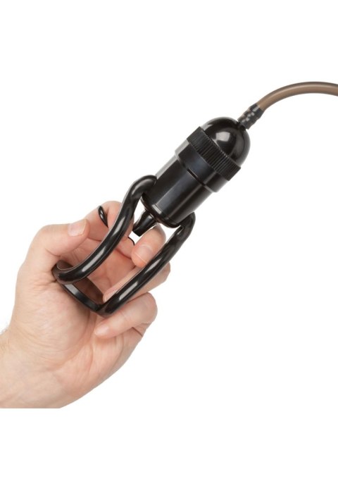 Vibro Air Pump Black Calexotics