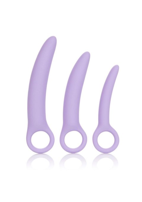 Alena Set of 3 Dilators Purple Calexotics Alena Set of 3 Dilators Purple Calexotics