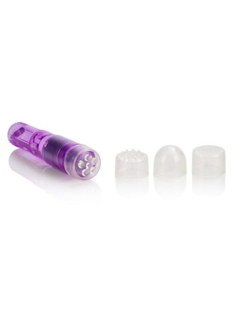 Athena Mini-Massager Purple Calexotics Athena Mini-Massager Purple Calexotics