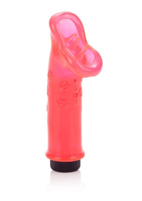 Climactic Climaxer Red Calexotics