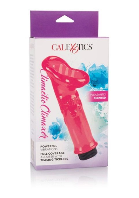 Climactic Climaxer Red Calexotics