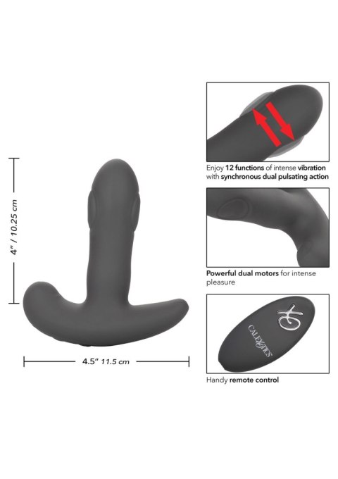 Dual Pulsating Probe Black Calexotics