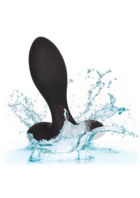 Eclipse Slender Probe Black Calexotics