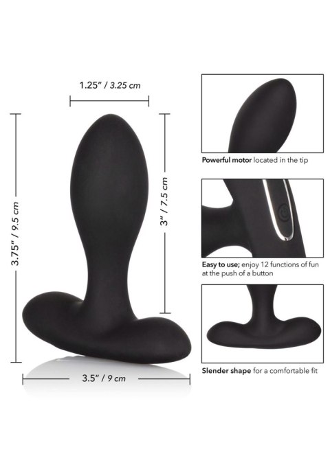 Eclipse Slender Probe Black Calexotics