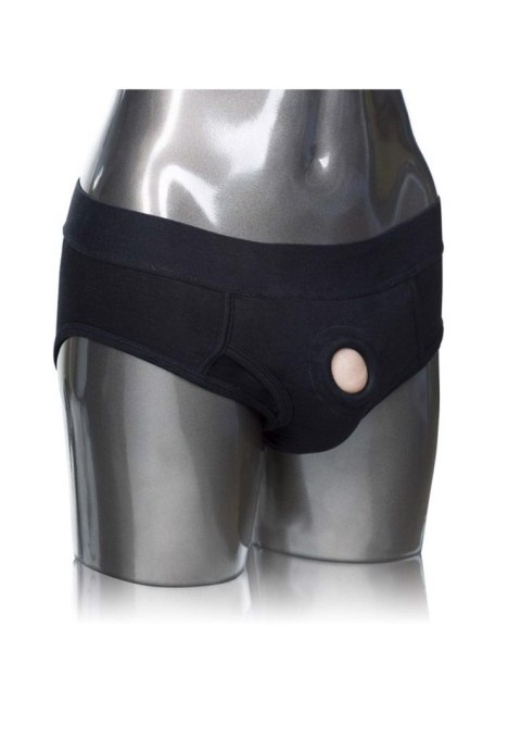 Packer Gear Brief Harness Black Calexotics Packer Gear Brief Harness Black Calexotics