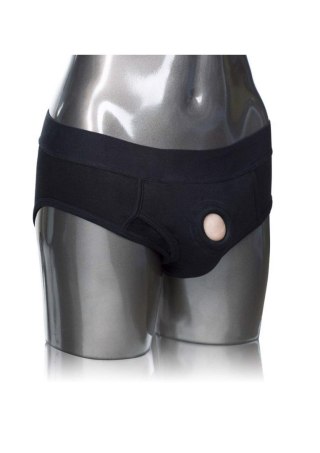 Packer Gear Brief Harness Black Calexotics