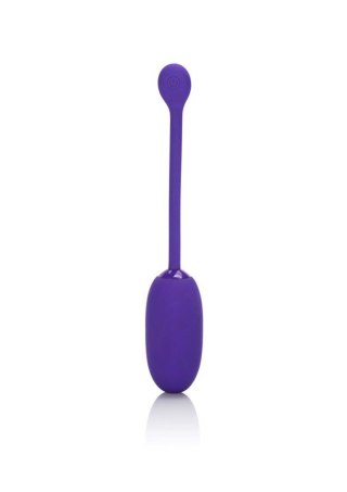 Recharg. Kegel Ball Starter Purple Calexotics