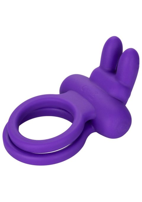 Rockin' Rabbit Enhancer Purple Calexotics
