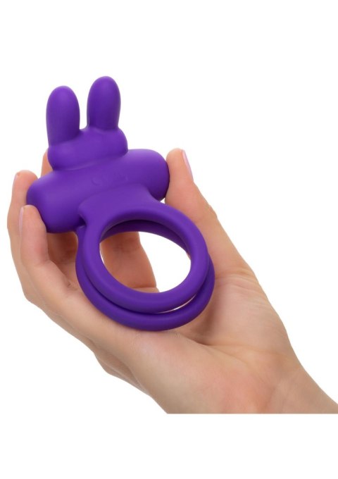 Rockin' Rabbit Enhancer Purple Calexotics