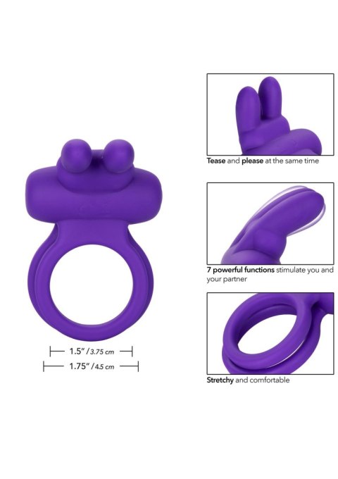 Rockin' Rabbit Enhancer Purple Calexotics