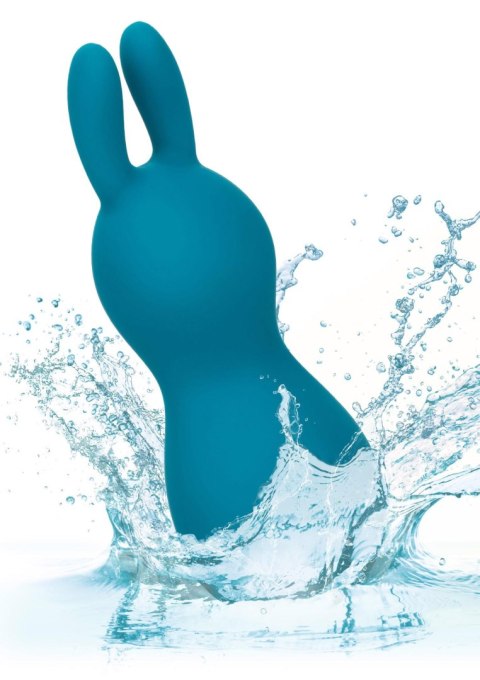 Slay Amaze Me Aqua Calexotics