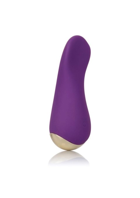 Slay Lover Purple Calexotics