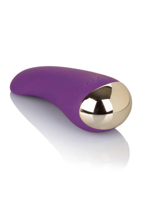 Slay Lover Purple Calexotics