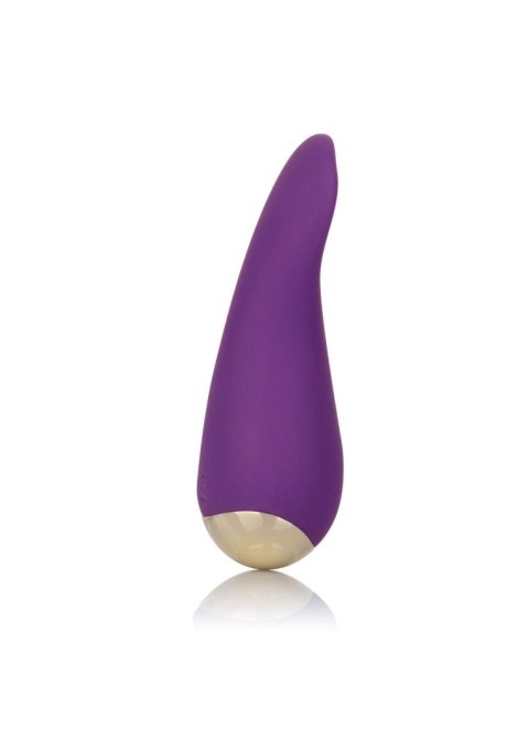 Slay Lover Purple Calexotics