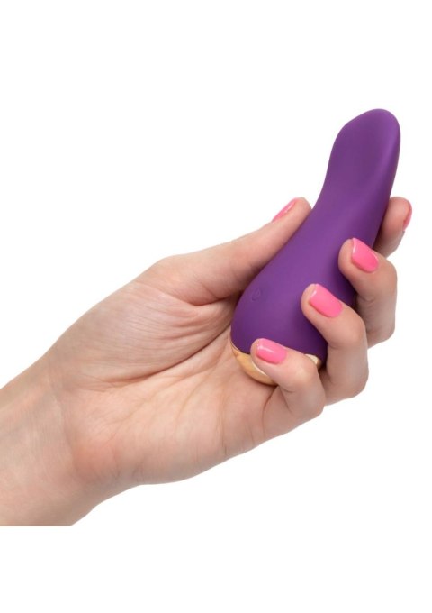 Slay Lover Purple Calexotics