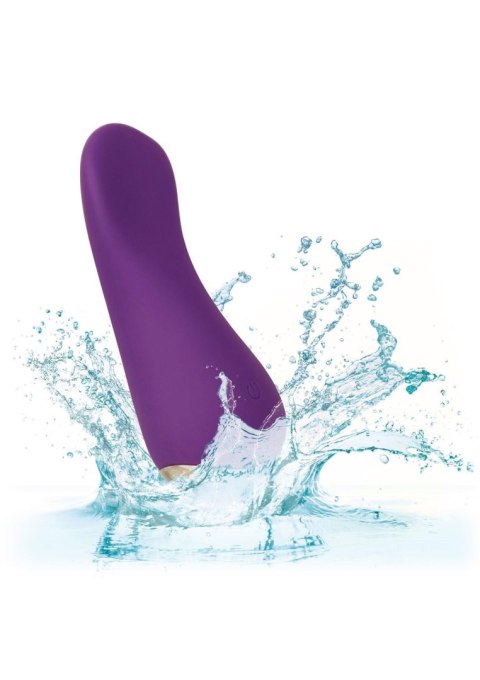 Slay Lover Purple Calexotics