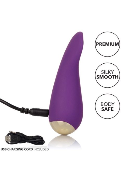 Slay Lover Purple Calexotics
