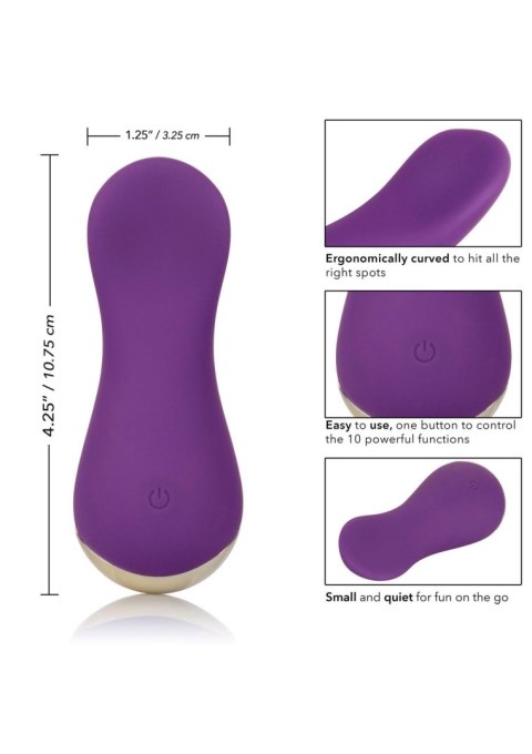Slay Lover Purple Calexotics