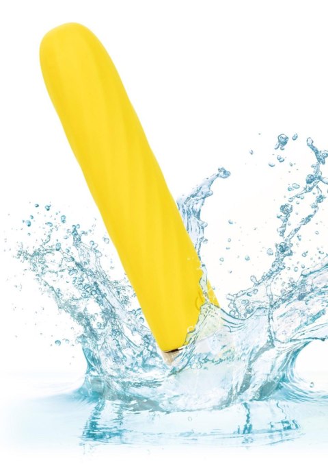 Slay Seduce Me Yellow Calexotics