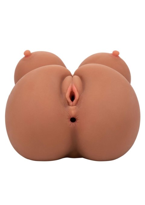 Stroke It Body Banger Brown skin tone Calexotics