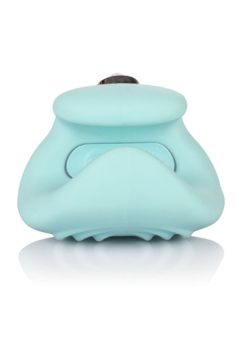 Stymulator-Pave Liz Calexotics
