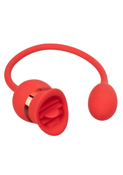 French Kiss Casanova Red Calexotics