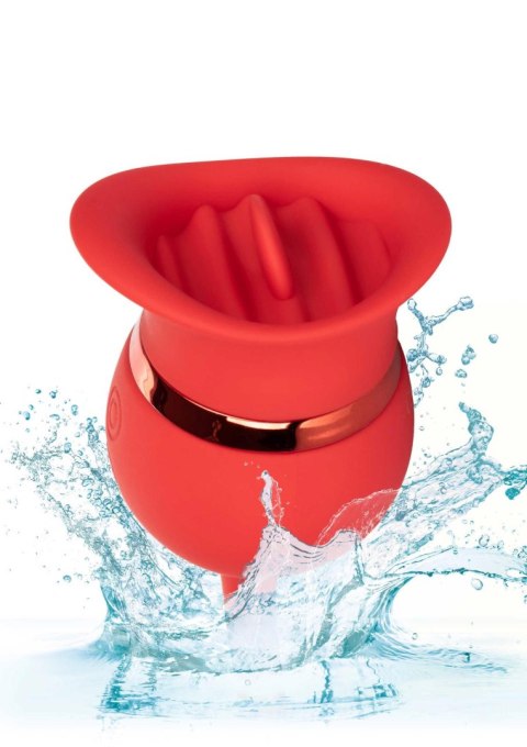 French Kiss Casanova Red Calexotics