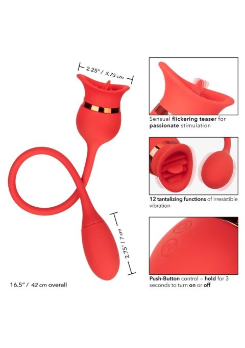 French Kiss Casanova Red Calexotics
