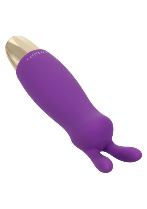 Slay Buzz Me Purple Calexotics