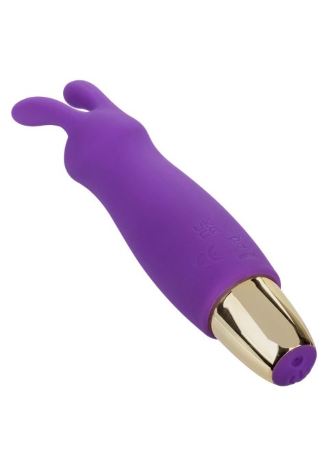 Slay Buzz Me Purple Calexotics