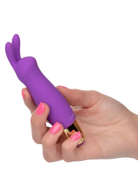 Slay Buzz Me Purple Calexotics
