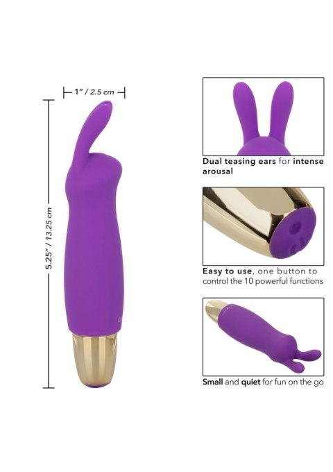 Slay Buzz Me Purple Calexotics