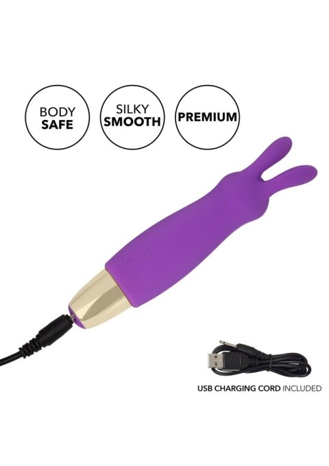 Slay Buzz Me Purple Calexotics