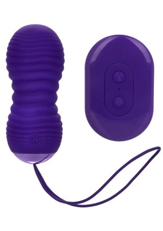 Slay Thrust Me Purple Calexotics
