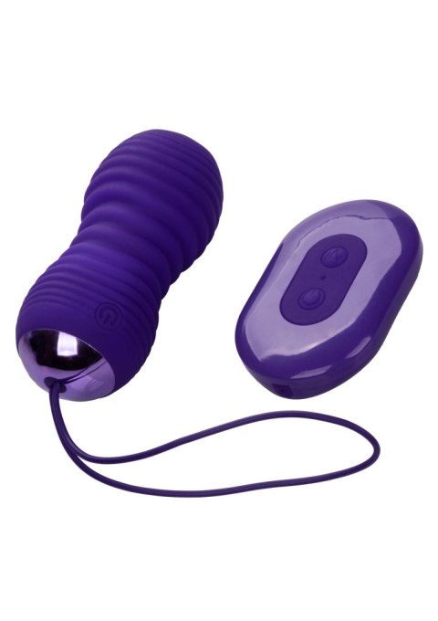 Slay Thrust Me Purple Calexotics