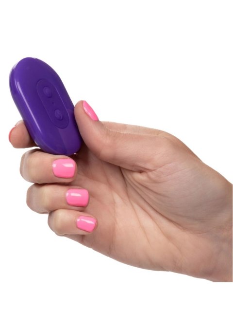 Slay Thrust Me Purple Calexotics