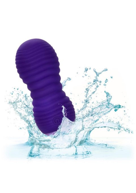 Slay Thrust Me Purple Calexotics