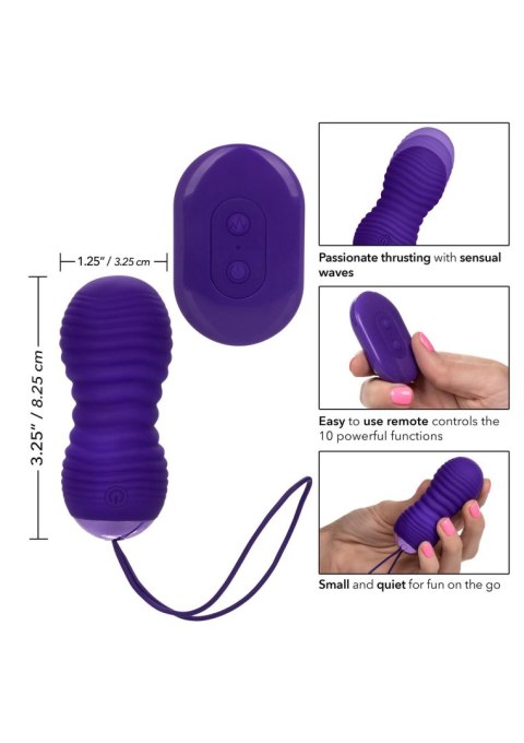 Slay Thrust Me Purple Calexotics