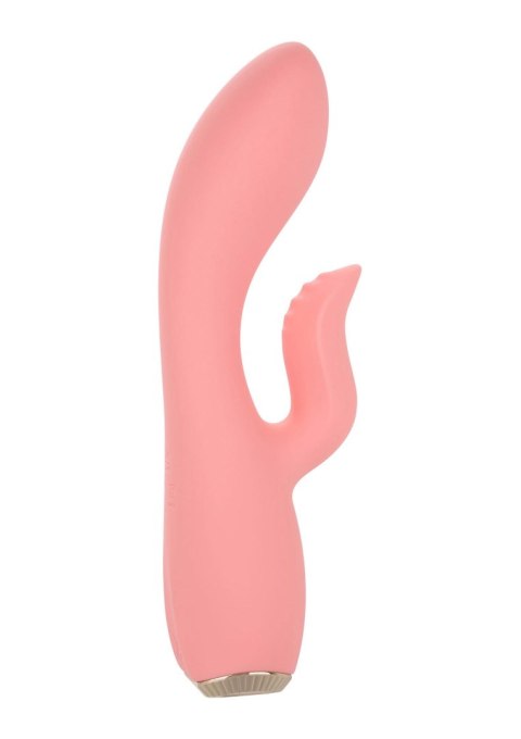 Uncorked Zinfandel Pink Calexotics