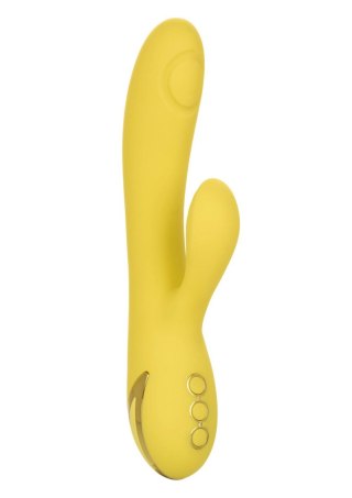 San Diego Seduction Yellow Calexotics