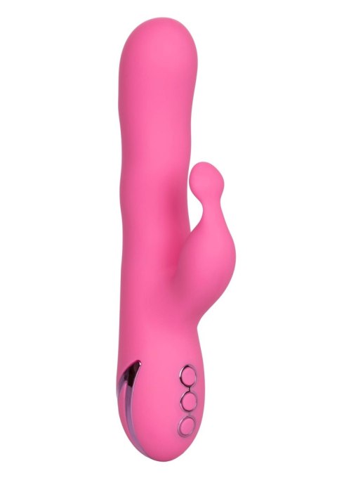 Santa Barbara Surfer Pink Calexotics