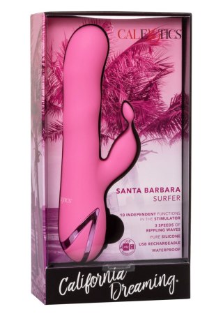 Santa Barbara Surfer Pink Calexotics