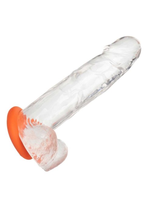 Alpha Prolong Large Ring Orange Calexotics