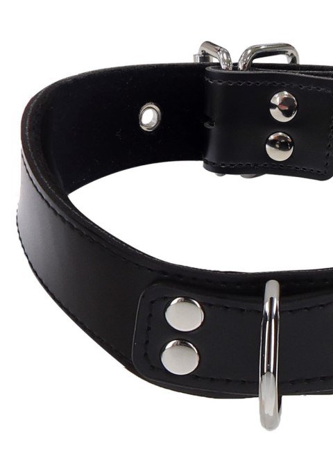 Elegant D-Ring Collar Black Taboom Elegant D-Ring Collar Black Taboom