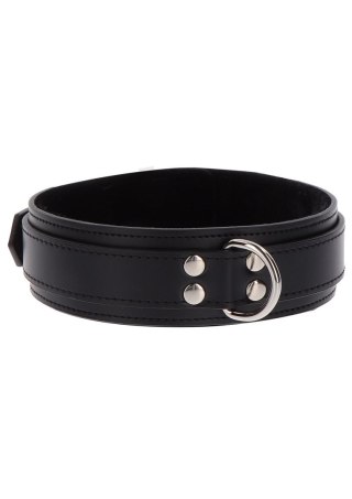 Heavy D-Ring Collar Black Taboom