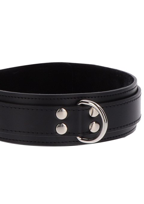 Heavy D-Ring Collar Black Taboom Heavy D-Ring Collar Black Taboom