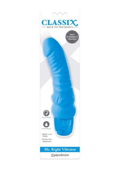 Mr. Right Vibrator Blue Pipedream